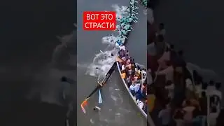 Что это было??