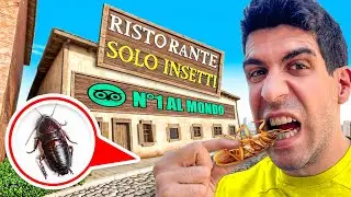 LA CENA PEGGIORE DELLA MIA VITA - Ristorante solo insetti