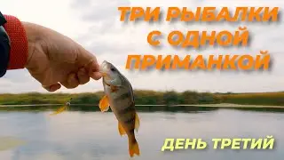 3 рыбалки на одну приманку. День 3. Микроджиг. Резина с алиэкспресс рулит! Непогода