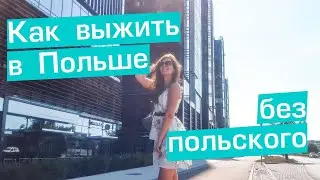 Польский язык. Как выжить в Польше без знания языка