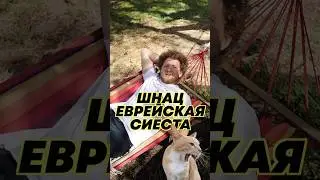 Сиеста — еврейская традиция #израиль #иудаизм #сиеста