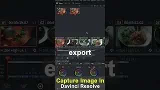 Capture Image in Davinci Resolve 