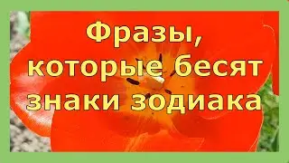 ФРАЗЫ, КОТОРЫЕ БЕСЯТ ЗНАКИ ЗОДИАКА