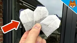 The sadly unknown Trick with Tea Bags at the window💥(Incredible Clean)🤯