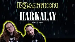 Harkalay | (Coke Studio) - Season 15 | Zahoor x REHMA - Reaction.