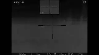 ОХОТА НА ЛИС С МЕЛКАШКОЙ / FOX HUNTING WITH 22LR