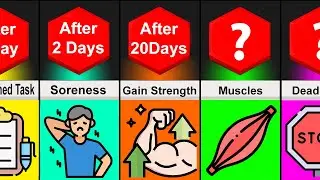 Timeline Comparison: What If You did 100 Push Ups Everyday