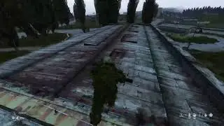 Охота на хомяков Dayz #ps5