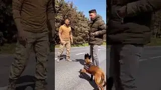 Sadece sahibinden komut alan bebek 😁