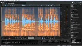 iZotope RX 5 Advanced Audio Editor – Dialog and Voiceover Editing | Full Compass