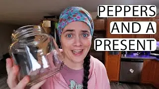 Starting Pepper Seeds and A Gift From My Sister! VLOG | Fermented Homestead