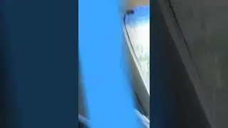 27 июня 2023 г.