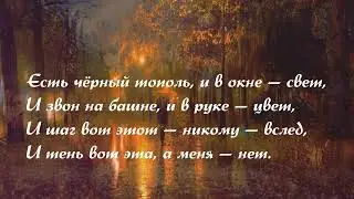 Марина Цветаева. В огромном городе моём — ночь