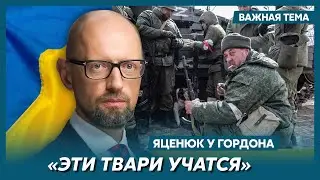 Яценюк о появлении у россиян системы против украинских дронов