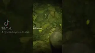 Brown TROUT At NIGHT #outdoors #trout #fishing