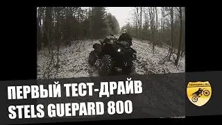 ПЕРВЫЙ ТЕСТ-ДВАЙВ STELS GUEPARD 800