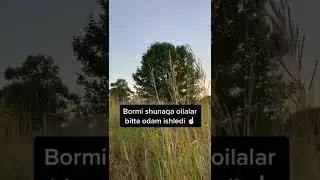 BORMI SHUNAQA OILALAR BITTA ODAM ISHLEYDI ~ Abdulloh domla