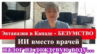 Безумство набирает обороты…..