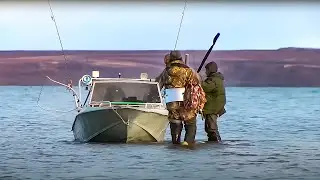 Охота на гольца. Часть 2 | С полем!