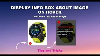 Elementor: Display Info Box About Image On Hover - No Code - No Plugin | Tips & Tricks