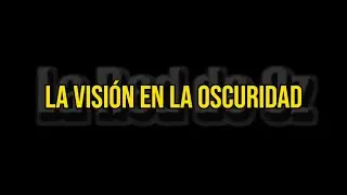 LA VISIÓN EN LA OSCURIDAD