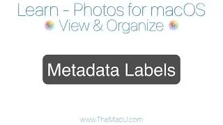 Photos for Mac Tutorial: Metadata Labels