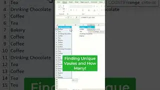 Finding and counting unique values with Excel