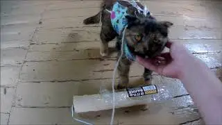 6КРАСИМ домик