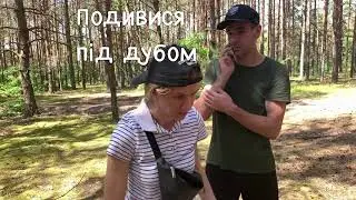 Грибы лисички и земляника в Ровенской области