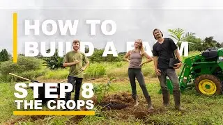 THE FARMSTEAD (HAWAII) |  How To Plant A Breadfruit ('ULU) Tree | Episode 8 THE CROPS