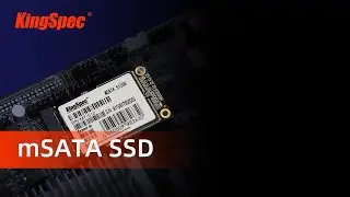 mSATA SSD 256