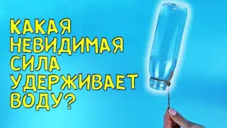 Центробежная сила удерживает воду в бутылке. Опыт для детей
