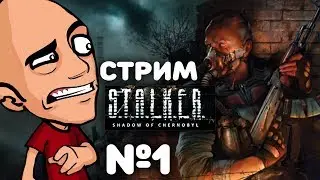 S.T.A.L.K.E.R.: Тень Чернобыля 1 ЧАСТЬ