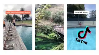 NZ Manu TikTok compilation