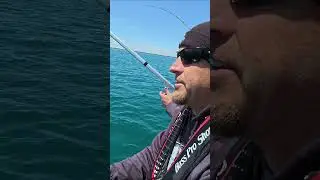 Coho Salmon Trolling #fishing #shorts