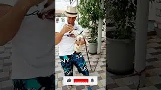 😨 ДИЧЬ на НОЧЬ 😨