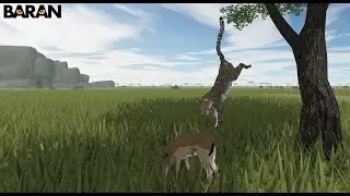 Roblox - Testing A | Leopard hunts an impala by jumping from a tall tree!