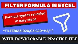 Filter formula in Excel | Filter function | Filter function with multiple conditions