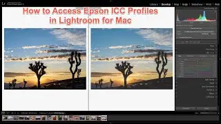 How To Access Epson's ICC Profiles in Lightroom for Mac