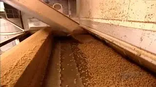 How Its Made Dog and Cat Food