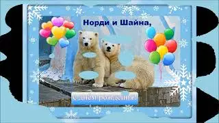 С днём рождения, Норди и Шайна!