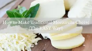 How to Make Mozzarella Cheese (The Easy Way)