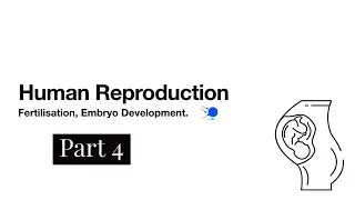 Human Reproduction- Part 4-Fertilisation and Embryo Development-LeavingCert Biology