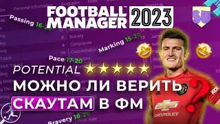 Можно ли верить скаутам в Football Manager?