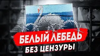 Белый Лебедь без цензуры: про самую жесткую тюрьму из первых уст | Соликамск