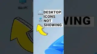 Desktop icons not showing in Windows 11?