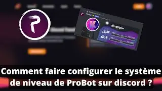 Comment faire configurer le système de niveau de ProBot sur discord ?