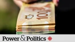 The cost of Canadas lagging economy | Power & Politics