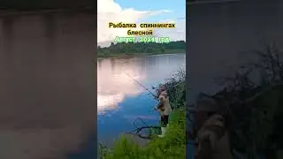 Рыбалка на спиннингах блесной