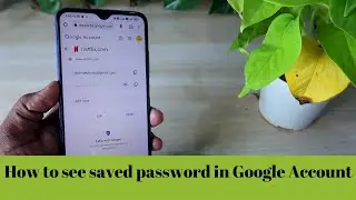 How to see saved password in Google Account - Google Password Manager Settings?